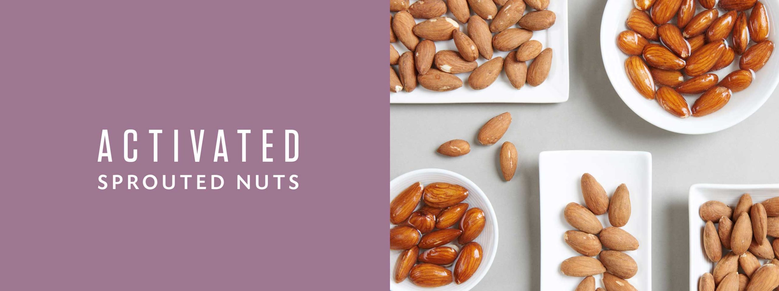 Sprouted Nuts Living Intentions